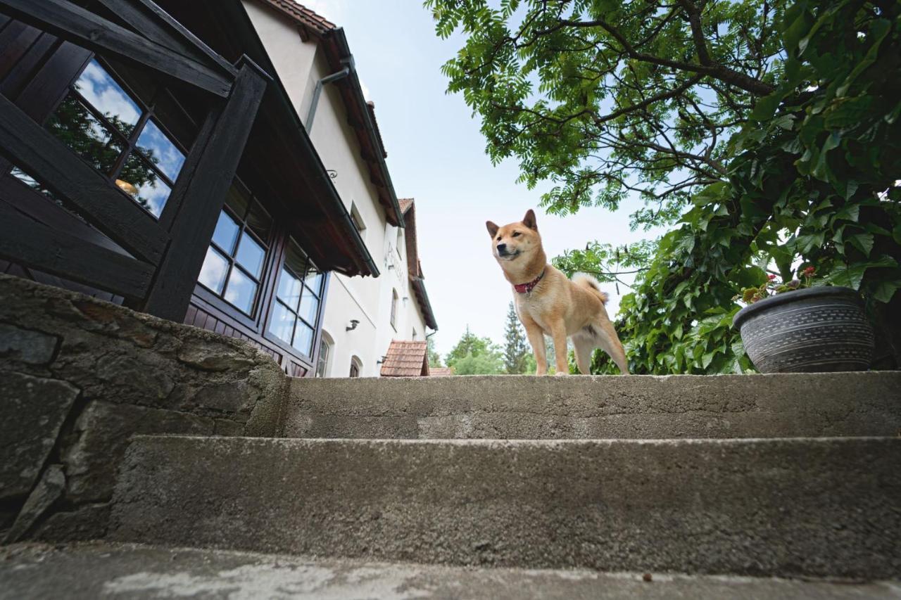 Penzion Onyx Český Krumlov Extérieur photo